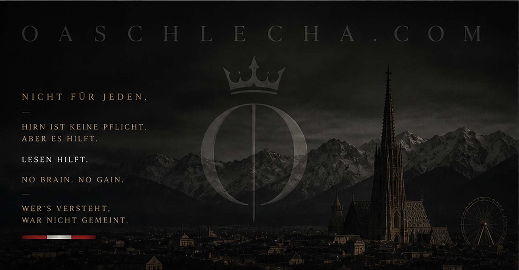 OASCHLECHA.COM über der Wiener Silhouette und den Bergen. Nicht für jeden. Hirn ist keine Pflicht. Aber es hilft. Lesen hilft. No brain. No gain. Wer’s versteht, war nicht gemeint.
